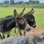 Cosy Claregalway Galway